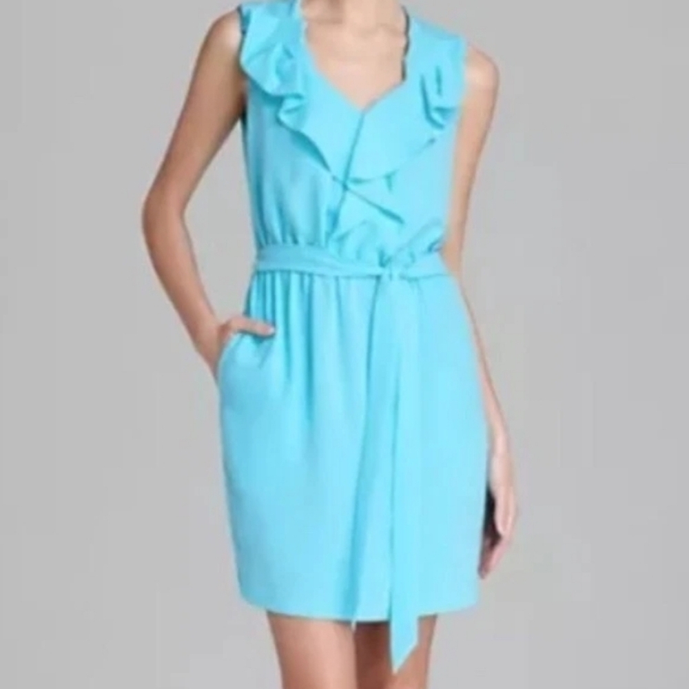 DVF Bobbie Blue Chiffon Dress 10